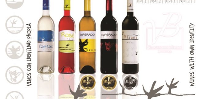 Bodega Viticultores de Barros