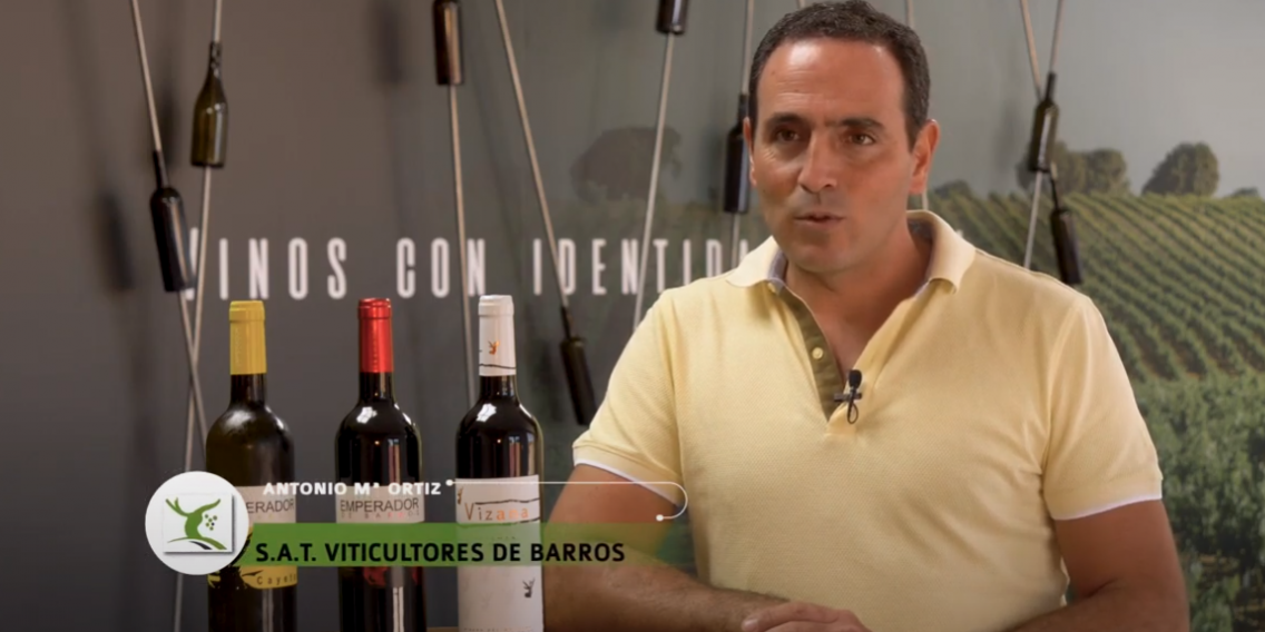 Bodega Viticultores de Barros