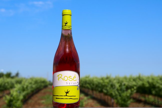 cata de rosé syrah by Carlos J. Vivas