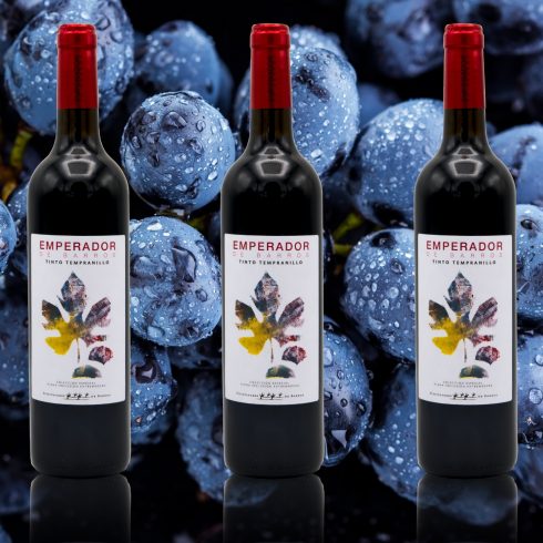 vinos plena inclusión
