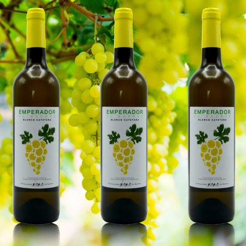 vinos plena inclusión