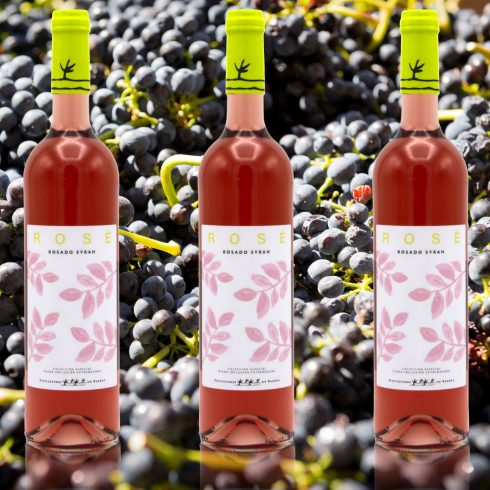 vinos plena inclusión