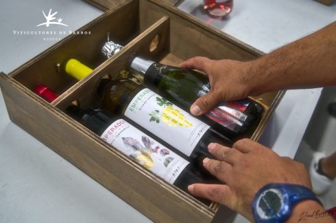 includes almendralejo bodega viticultores de barros